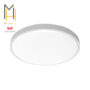 Потолочная лампа Xiaomi Yeelight Ceiling Light 550 мм (YLXD037) 13 3200