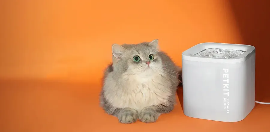 1 fcb21baf 0054 4092 888e 3f61777ae503 результат