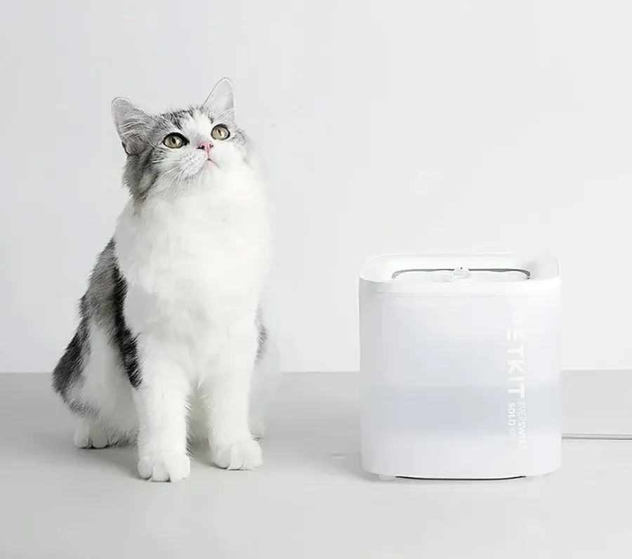 eversweet solo se 337318 результат