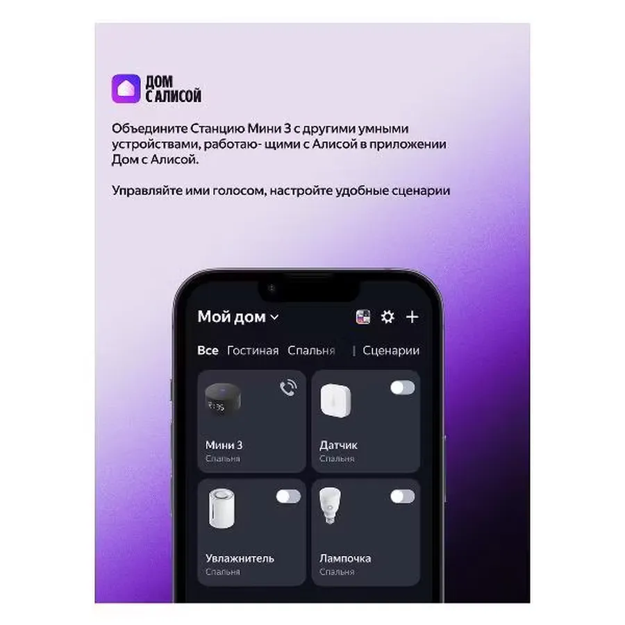 400466204b9 результат